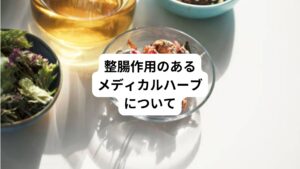 ドイツコミッションEモノグラフというドイツの薬局方に適用として「便秘」と記載されているハーブがあります。
日本の薬局方であればセンナやダイオウがありますが、西洋ハーブでは「ダンディライオン」や「ハイビスカス」・「ローズヒップ」などが比較的手に入りやすく作用も穏やかで安心して取り入れる事ができます。
ダンディライオン(セイヨウタンポポ)は、食物繊維がたっぷりで緩下作用のあるハーブとしてとても有名で、ノンカフェインのたんぽぽコーヒーとしても知られています。(決してコーヒー味ではありませんが)
肝臓のハーブとしても有名なので、私は、カラダがだるく体調がいまいちの時に飲んで整えているハーブのひとつでもあります。