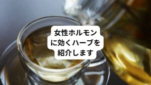 女性は一生の中でホルモンの変化に応じて様々なフェーズを経験します。
思春期、成年期、更年期、そして老年期とその変化はまさにジェットコースターのようです。
しかしながら女性ホルモンはストレスや周りの環境の影響を受けやすいものでもあります。
そんな変化と共に感じるちょっとした心や体の不調を優しくサポートしてくれるハーブをご紹介します。