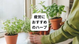 ハーブはビタミンやミネラルなどの栄養が含まれています。
それにより以下のような効能が期待できます。
・血流やリンパの流れを促す
・代謝を高める
・高ぶった神経を鎮めてリラックスする
・ストレスに対する抵抗力や体力を高める
・精神的疲労や肉体的疲労の回復を助ける
心身の疲労におすすめのハーブと使い方についてご紹介します。