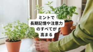 まずご紹介したいのは、英国ノーサンブリア大学のグループが行った研究です。
180人の被験者に、ペパーミントティー、カモミールティー、白湯のどれかを与え、それぞれ飲む前と飲んだ後に、記憶試験と認知機能試験、気分に関する質問を行う、という内容です。
その結果、ペパーミントティーを飲んだ参加者たちの記憶試験と認知機能試験の結果が、ほかのグループと比べ群を抜いて高く、長期記憶、一時記憶、注意力のすべてが高まるとわかったのです。
ちなみに、気分的なリラックスはできても、注意力が低下するのはカモミールティーです。
もともと、ペパーミントには覚醒的な作用、カモミールには沈静的な作用があると言われていました。
このテストで、それぞれの効果の有効性が裏付けられた形です。