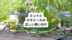 加えて、先ほどの実験結果にも表れているように、覚醒的な作用があることもわかってきました。
これらは主にミントに含まれる「メントール」によるものと考えられています。
メントールはリラックス効果と覚醒効果の両方を持ち合わせるので、不安やイライラを鎮静する一方で、頭をスッキリさせる働きも期待できます。記憶力や注意力を高めるのに適しているでしょう。
ところで、カモミールにも、リラックス効果が期待できますが、こちらは先述のテスト結果からもわかるように、記憶力や注意力を高めたいときには不向きです。
緊張を緩和して、身体や心を休める目的で、たとえば睡眠前や休暇中にいただくといいでしょう。
フレッシュミントそのものをオフィスでの食事・おやつに取り入れるのは、ちょっと難しいかもしれませんが、ミント味の加工品や、メントールの入ったアイテムは探しやすいでしょう。
ミント類は清涼効果も期待できるので、夏に向けて新製品も多く出てくるはずです。
これからの時期、定期的にチェックしてみてください。
