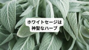 ホワイトセージとは、天然のハーブの一種で、古くから｢けがれを祓う神聖な天然ハーブ｣と呼ばれてきました。
ホワイトセージを使った浄化（スマッジング）は、ヨガやマインドフルネスを行うときに使うほか、場の空気がよどんでいると感じたときや、気分がすぐれないときなどに積極的に使用する人が増えています。