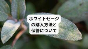 では、ホワイトセージはどこで購入すればいいのでしょうか。
また、購入したものは、どのようにストックしておくべきでしょうか。