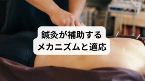 鍼灸は顔面・頸部の血流改善と自律神経調整を通じて粘膜修復を促すことが期待されます。耳鼻科で器質的疾患が否定された後の補助療法として、週1回×4回を目安に検討します。
