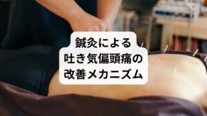 鍼灸は、東洋医学に基づく自然療法であり、以下のような効果が期待できます:
脳血管の異常拡張を抑制し、頭痛を緩和
自律神経の調整により吐き気を軽減
内因性鎮痛物質(エンドルフィン)の分泌促進
胃腸の働きを整え、消化器症状を改善
ホルモンバランスの安定化
特に、百会(ひゃくえ)、風池(ふうち)、内関(ないかん)、足三里(あしさんり)などのツボが、頭痛と吐き気の両方に作用するとされます。
鍼灸は、副作用が少なく、体質改善と再発予防にもつながるのが特徴です。