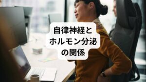自律機能はホルモン分泌とも密接に関わっています。交感神経が優位になるとストレスホルモン（コルチゾール）が過剰に分泌され、逆に副交感神経が働くとリラックスホルモン（セロトニン、メラトニン）が分泌されます。
つまり、自律機能 改善はホルモンバランスの安定にも直結するのです。