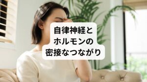 自律神経は、体内のホルモン分泌をコントロールする重要な役割を担っています。交感神経が優位になるとストレスホルモン（コルチゾール）が増え、心身が緊張状態に傾きます。一方、副交感神経が働くと、リラックスホルモン（セロトニンやメラトニン）が分泌され、心身が安定します。
このように、自律神経のバランスが乱れるとホルモン分泌も不安定になり、不眠・疲労・気分の落ち込みなどの症状が現れやすくなります。逆に「自律神経回復 方法」を取り入れることでホルモン分泌が整い、「自律神経回復の効果」として睡眠の質向上やストレス耐性の改善が期待できます。