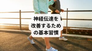 神経伝達をスムーズにするには、日常生活の見直しが欠かせません。

睡眠リズムの安定：毎日同じ時間に寝起きすることで神経伝達物質の分泌が整います。
栄養バランスの確保：ビタミンB群、マグネシウム、タンパク質は神経伝達 改善に必須です。
軽い運動の継続：ウォーキングやストレッチは血流を促進し、神経伝達 調整に役立ちます。
ストレスケア：瞑想や深呼吸は交感神経の過剰な働きを抑え、神経伝達を安定させます。

これらの習慣を続けることで、自然に「神経伝達 改善」が進みます。