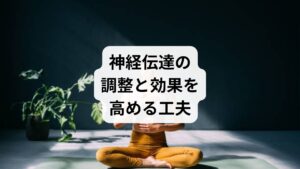 生活習慣に加え、次のような工夫を取り入れると効果がさらに高まります。

朝日を浴びる：体内時計がリセットされ、神経伝達物質の分泌が安定します。
十分な水分補給：血流がスムーズになり、神経細胞への栄養供給が改善されます。
呼吸法の実践：腹式呼吸は副交感神経を優位にし、神経伝達 改善に直結します。
趣味やリラックスタイム：心の余裕が生まれ、ストレス耐性が向上します。

これらは「神経伝達の調整と効果」を体感するための大切な要素です。