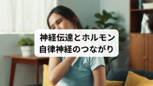 神経伝達はホルモン分泌や自律神経の働きと密接に関係しています。交感神経が優位になるとストレスホルモン（コルチゾール）が増え、心身が緊張状態になります。逆に副交感神経が働くと、セロトニンやメラトニンが分泌され、リラックス状態に導かれます。
つまり「神経伝達の改善」を行うことは、ホルモンバランスや自律神経の安定にも直結し、心身の健康を支える基盤となります。