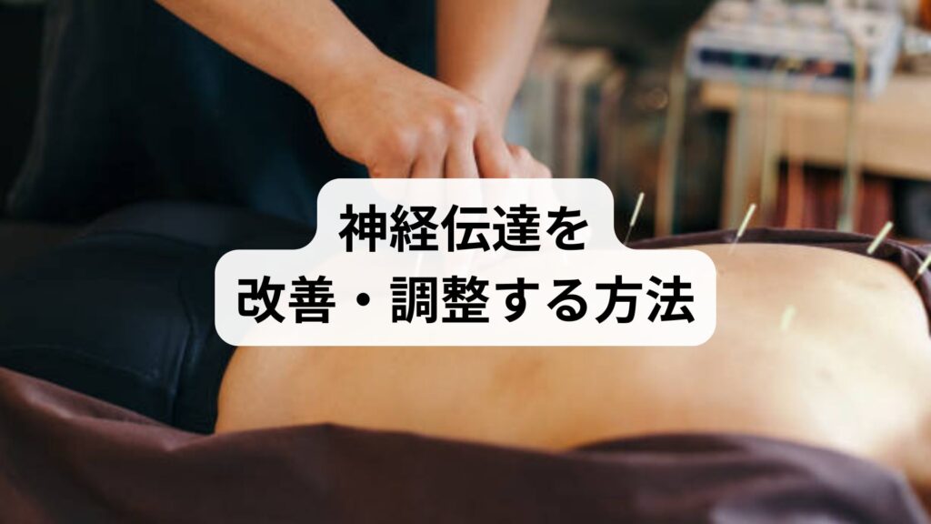 神経伝達を改善・調整する方法｜セルフチェック・生活習慣・鍼灸による根本ケア