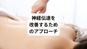 「神経伝達の改善方法」として、日常生活で取り入れたいアプローチを紹介します。

規則正しい生活リズム：睡眠と食事の時間を整える。
軽い運動習慣：ウォーキングやストレッチで神経と筋肉の連携を強化。
呼吸法や瞑想：自律神経を安定させ、伝達をスムーズにする。
水分補給：神経細胞の働きを助ける。
デジタルデトックス：情報過多による脳疲労を防ぐ。

これらの習慣は「神経伝達の調整」に直結します。
