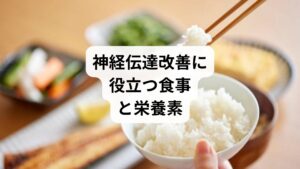 「神経伝達 食事」は、体の回復をサポートする重要な要素です。

ビタミンB群：神経伝達物質の合成に必要。豚肉や卵に豊富。
マグネシウム：神経の興奮を抑える。ナッツや海藻がおすすめ。
オメガ3脂肪酸：神経細胞の膜を柔軟に保つ。青魚や亜麻仁油に含まれる。
抗酸化食品：ブルーベリーや緑茶は神経細胞を守る。
タンパク質：神経伝達物質の材料となる。魚、肉、豆類に豊富。

食事の工夫は「神経伝達の改善方法」として欠かせない要素です。