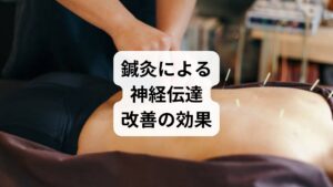 セルフケアや食事改善だけでは限界がある場合、鍼灸が有効です。

鍼灸の作用：ツボ刺激で血流を改善し、神経伝達をスムーズにする。
自律神経の調整：交感神経と副交感神経のバランスを整える。
持続的な効果：定期的な施術で神経伝達改善が安定。