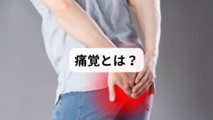 痛覚は、体が危険や異常を察知するための重要な感覚です。しかし、慢性的な痛みや過剰な痛覚反応は生活の質を大きく低下させます。肩こりや腰痛、神経障害によるしびれなどは、痛覚が過敏になっている状態ともいえます。そこで注目されるのが「痛覚抑制の方法」です。適切に痛覚を抑制することで、日常生活を快適に過ごすことが可能になります。