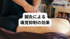 鍼灸は東洋医学の代表的な治療法であり、痛覚抑制に高い効果が期待できます。
ツボ刺激による血流改善:合谷や足三里などを刺激し、痛みの原因となる血流障害を改善。
筋肉の緊張緩和:肩こりや腰痛を解消し、痛覚過敏を軽減。
自律神経の調整:交感神経と副交感神経のバランスを整え、痛みを抑制。
ストレス軽減:施術によるリラックス効果で精神的安定を促す。
鍼灸は「痛覚抑制の効果」を自然な形でサポートする有力な方法です。