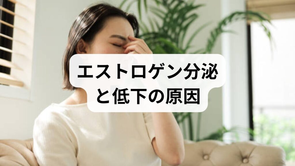 エストロゲン分泌と低下の原因・改善法：鍼灸で整える女性ホルモンのバランス