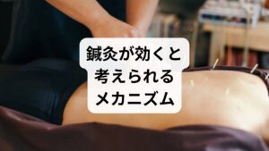 鍼刺激は局所の血流改善、筋緊張の緩和、自律神経のバランス調整、内因性鎮痛物質の放出を促すとされ、臨床研究でも有効性が示唆されています。