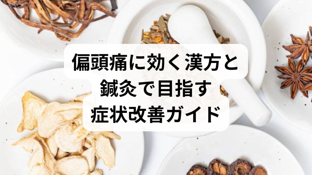 偏頭痛に効く漢方と鍼灸で目指す症状改善ガイド