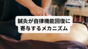 鍼灸は局所の血流改善・筋緊張の緩和・交感/副交感バランスの調整を通じて、視床下部や脳幹に間接的に働きかけると考えられています。臨床報告でも不眠やめまい、慢性疲労の改善例が示されています。