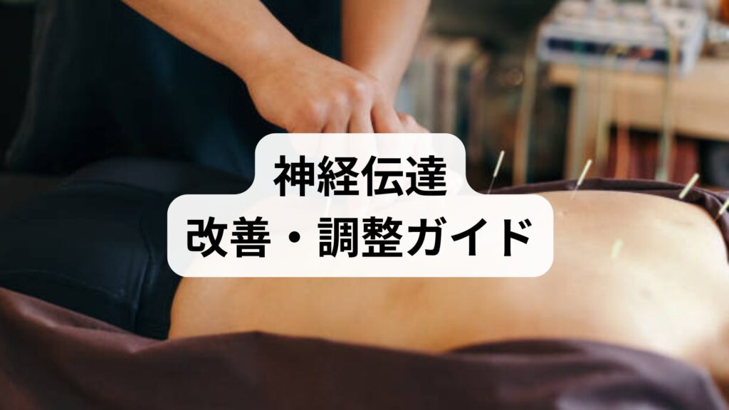 神経伝達 改善・調整ガイド：生活習慣と鍼灸で整える実践法