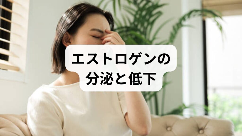 エストロゲンの分泌と低下：原因を見極め、鍼灸と生活改善で整える実践ガイド