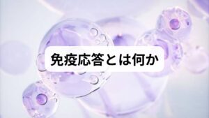 免疫応答は病原体や損傷に対する生体の反応で、過剰な反応は炎症や自己免疫を招き、低すぎる反応は感染リスクを高めます。ここでの目標は過剰と低下の両方を避け、適切に免疫応答を調整することです。短期的には疲労感や感染頻度の低下、中長期では検査値や生活の質（QOL）の改善を目指します。