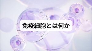 免疫細胞(NK細胞、T細胞、好中球など)は感染やがん細胞の初期防御を担います。目標は短期的な免疫細胞の活性化(機能向上)と中長期的な免疫細胞 の増加(細胞数や機能の維持)を両立させることです。過剰な刺激は炎症を招くため、安全で持続可能な方法を優先します。