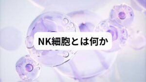 NK細胞（ナチュラルキラー細胞）はウイルス感染やがん細胞の初期防御を担う自然免疫の重要な構成要素です。目標は短期的なNK細胞の活性化（機能の向上）と中長期的なNK細胞の増加（細胞数の維持・増加）の両立です。過剰な刺激は炎症を招くため、安全で持続可能な方法を優先します。臨床的には「疲労感の軽減」「感染の再発頻度低下」「検査でのNK活性改善」などが期待されます。