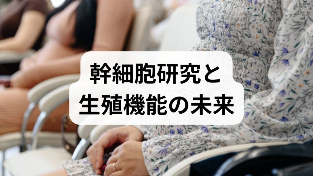 幹細胞研究と生殖機能の未来｜生殖機能 改善・回復に向けた現状と実践ガイド