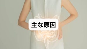 胃腸の不調は、食生活の乱れ・睡眠不足・ストレス・運動不足・薬剤の影響など複合要因で起こります。まずは原因の切り分けが重要です。1週間の食事・排便・睡眠・ストレスの記録をつけ、症状のトリガー（特定の食品、時間帯、状況）を可視化しましょう。可視化は改善プランを立てる出発点になります。