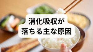 消化吸収の低下は単一要因ではなく、食事の偏り・咀嚼不足・腸内環境の乱れ・慢性ストレス・睡眠不足・薬剤の影響が複合して起こります。臨床でよく見るパターンは「早食い＋加工食品多め＋夜遅い食事」で、これが続くと消化酵素の分泌が不安定になり、栄養吸収効率が下がります。まずは1週間の食事・排便・睡眠の記録を取り、トリガーを可視化しましょう。