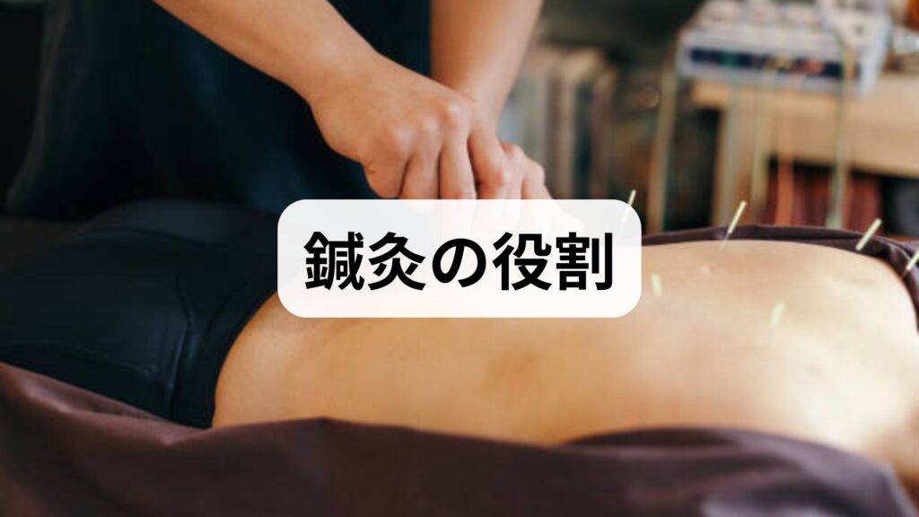 経絡図の見方と活用法|臨床監修でわかる経絡図の解説と実践的な経絡図 活用ガイド|三鷹の自律神経専門 鍼灸院 コモラボ【公式】
