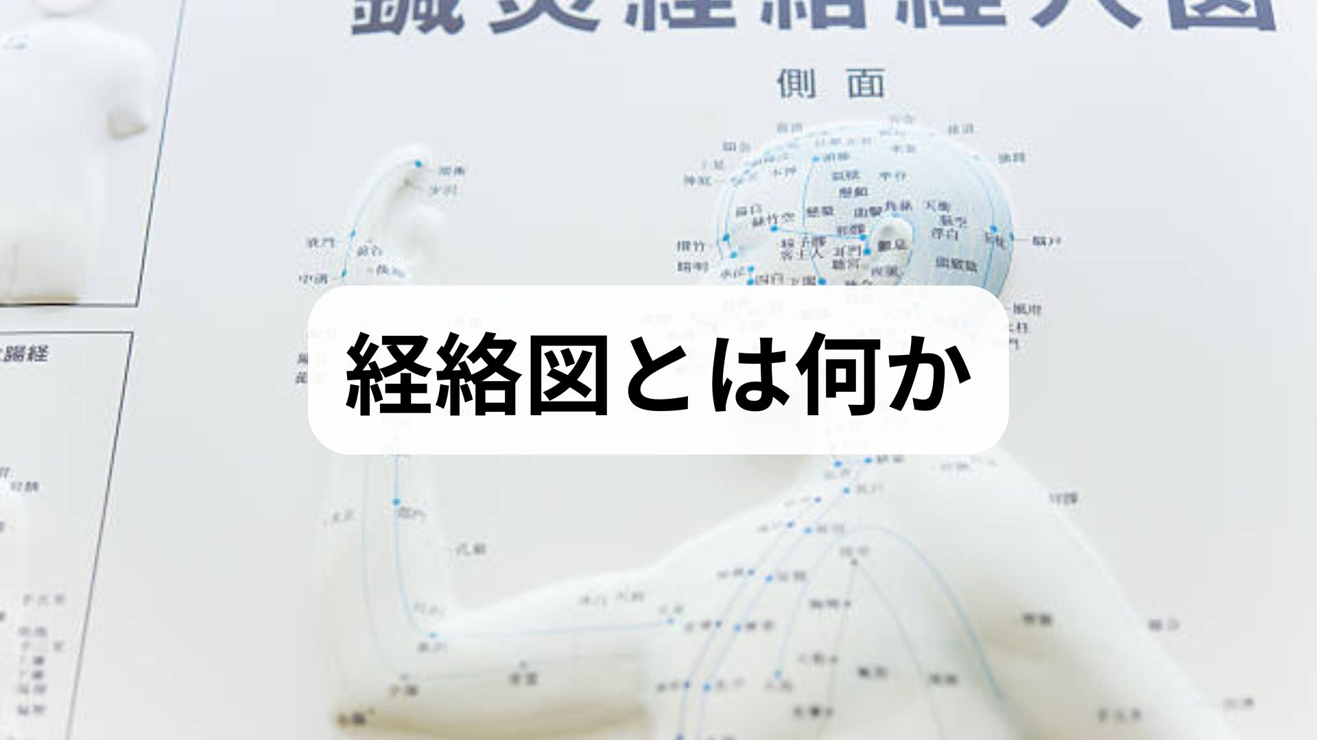 経絡図の見方と活用法|臨床監修でわかる経絡図の解説と実践的な経絡図 活用ガイド|三鷹の自律神経専門 鍼灸院 コモラボ【公式】