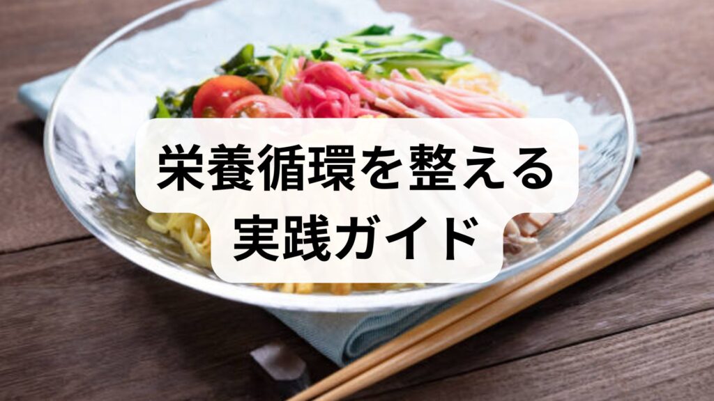 栄養循環を整える実践ガイド — 食事・生活習慣・補助療法で得る効果と具体策