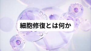 細胞修復は、損傷した細胞やDNAを修復し、組織の機能を回復する生体のプロセスです。酸化ストレス、慢性炎症、睡眠不足、栄養欠損、運動不足が修復を阻害します。まずは2週間の生活ログ（睡眠・食事・運動・疲労感・薬の有無）をつけ、修復を妨げる因子を可視化することが最初の一歩です。