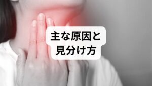 内分泌系はホルモンを介して体の代謝・睡眠・体温・生殖機能などを調整するシステムです。甲状腺・副腎・下垂体・卵巣・精巣・膵臓などが主要な器官になります。乱れの原因は多岐にわたり、ストレス・睡眠不足・栄養不良・過度な運動・薬剤・慢性疾患が代表例です。まずは2週間の体調ログ(睡眠・体温・食事・気分・月経周期)をつけ、パターンを可視化することが内分泌系 改善の第一歩です。