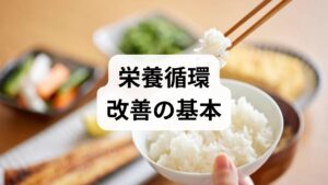 毎食で**主食（炭水化物）・主菜（たんぱく質）・副菜（野菜）**を揃えることが基本です。たんぱく質は筋肉や酵素の材料、野菜はビタミン・ミネラル・食物繊維で消化吸収と代謝を支えます。具体例：朝は全粒パン＋卵＋サラダ、昼は玄米＋魚＋温野菜、夜は雑穀ごはん＋豆腐＋根菜の煮物など。