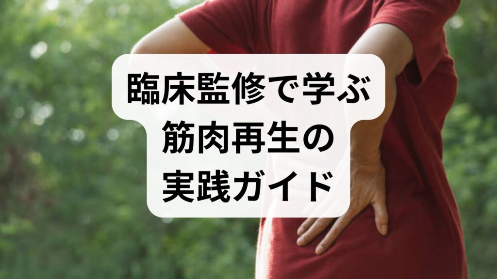 臨床監修で学ぶ筋肉再生の実践ガイド｜筋肉再生の方法と期待できる効果