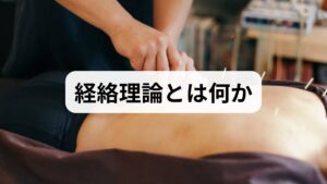 経絡理論は東洋医学の中心概念の一つで、「気(き)」が体内を巡る経路=経絡が全身の機能をつなぐと考えます。主要な経絡は14本あり、臓腑や器官、表層の皮膚や筋膜と連動しているとされます。経絡の流れが滞ると局所的な痛みや不調、全身的な機能低下が生じると説明され、鍼や灸はその流れを調整する手段として用いられてきました。現代的には「経絡=神経・筋膜・血管・リンパの複合的ネットワーク」として理解することで、西洋医学との橋渡しが可能になります。