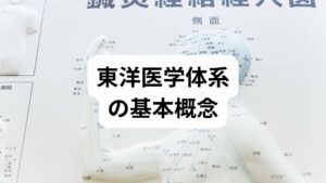東洋医学体系は気・血・水・陰陽・経絡・臓腑という相互に関連する概念で身体を総合的にとらえます。
- 気：活動の原動力。疲労や息切れは気の不足や滞りのサイン。
- 血：栄養と循環。顔色不良やめまいは血の不足を示唆。
- 水：体液の巡り。むくみや痰は水の停滞。
- 陰陽：冷えと熱、静と動のバランス。のぼせや冷えは陰陽の偏り。
- 経絡：気が流れる道筋で、経穴（ツボ）はその調整点。
これらを組み合わせて「証（しょう）」を立て、個別化した治療方針を決めるのが東洋医学体系 理論の核心です。