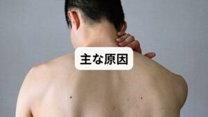 背中が熱く感じる主な理由には、自律神経の乱れが挙げられます。自律神経は体温調節や血流のコントロールを担い、活動的な交感神経とリラックス時の副交感神経がバランスを保っています。しかし、ストレスや不規則な生活でこのバランスが崩れると、交感神経が過剰に働きやすくなります。その結果、筋肉の緊張による血行不良や体温調節機能の低下を招き、背中が熱くなるという感覚が生じるのです。