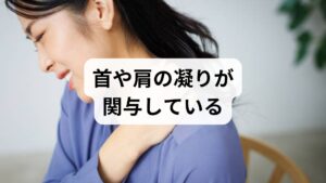 長時間のデスクワークやスマートフォンの使用により、首や肩の筋肉が慢性的に緊張すると「こり」が生じます。
この首や肩こりが原因で、関連痛として耳の下や後頭部に痛みを感じることがあります。
特に、首の横にある胸鎖乳突筋という大きな筋肉が凝り固まると、耳の周囲に痛みが放散しやすくなります。筋肉の緊張が強い場合は、頭痛を併発することも少なくありません。ストレッチやマッサージで和らぐこともありますが、痛みが続くなら他の原因も考慮すべきです。