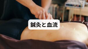 鍼灸が血流に及ぼす作用を、物理学的な「バイパス形成」の理論で解説します。
・「血管のバイパス」の再起動:硬着した筋肉に鍼を打つと、微細な組織損傷が起こります。これを修復しようと体内で**「微小循環」**が急速に活性化します。これは、渋滞している本線(主血管)の横に、新しい側道(微細血管)を一時的に開通させるようなものです。
・軸索反射(じくさくはんしゃ)による熱の分配:鍼刺激が神経を介して血管拡張物質(CGRP等)を放出させます。これにより、首に停滞していた熱(血液)が全身へとスムーズに流れ出し、局所のオーバーヒートが解消されます。
・ゲートコントロール理論:鍼による触覚刺激が、熱いという不快な信号を脊髄レベルで遮断。脳への「熱報」をストップさせます。