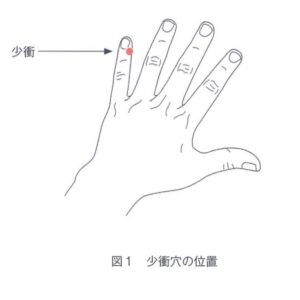 「少衝(しょうしょう)」と「労宮(ろうきゅう)」は、自律神経の乱れによる動悸や緊張を和らげるのに有効なツボです。
少衝は、小指の爪の生え際にある薬指側の角に位置します。反対側の指先でつまむようにして指圧しましょう。労宮は、手のひらで軽く拳を握った際、中指と薬指の先が当たるちょうど中間にあります。ここを親指の腹でじっくり押し込むのが効果的です。