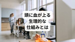 怒りや強いストレスを感じた瞬間に「頭に血が上る」と感じるのは、感情の動きと身体の反応が密接に連携しているためです。この現象は、危険や脅威に直面した際に身体を「闘争・逃走モード」へと切り替える、きわめて原始的な生理的反応の一部と言えます。

具体的には、怒りの感情が引き金となって自律神経の交感神経が急激に活性化し、全身の血圧を上昇させます。この血圧の急上昇が、顔のほてりや頭がカッとなる熱い感覚として体感されるのです。