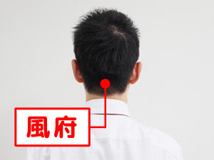 首こりや頭痛の緩和に欠かせない、後頭部の「風府(ふうふ)」「天柱(てんちゅう)」「風池(ふうち)」について解説します。
風府は、後頭部の中心線上、骨と首の境目にある2本の太い筋肉に挟まれたくぼみに位置します。生え際から指2本分ほど上に進んだ場所が目安です。天柱は、その太い筋肉の外側、髪の生え際付近にあり、風府から親指1本分ほど外にずらした位置にあります。さらに外側へ指を動かし、最も深くくぼんでいる部分が風池です。
風府は人差し指と中指を重ねて、天柱と風池は親指を当てて、心地よく響く強さで指圧してください。