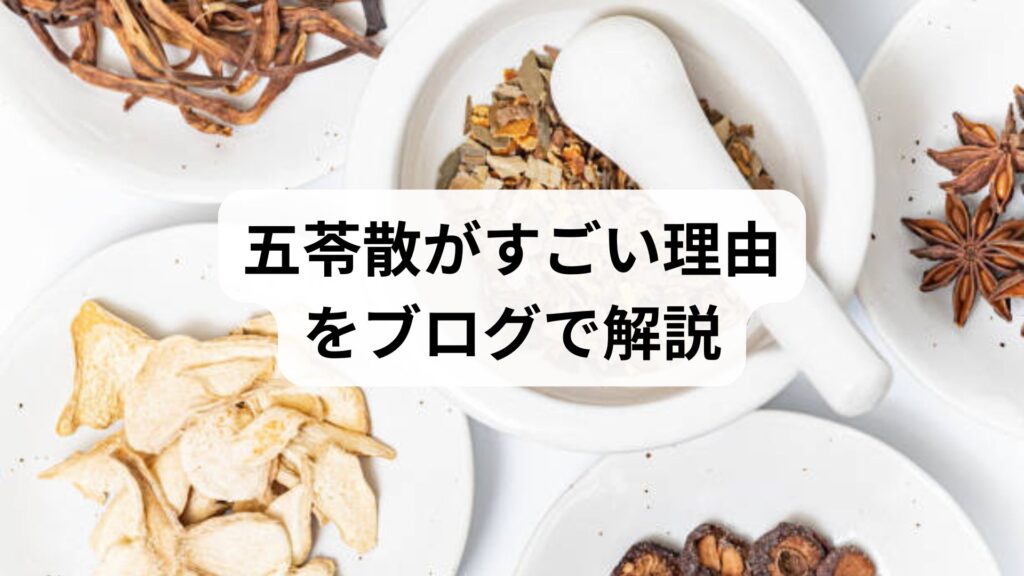 五苓散がすごい理由をブログで解説！気象病やむくみへの効果と正しい飲み方
