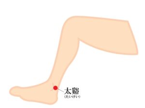 内くるぶしとアキレス腱の間にある、くぼんだ部分に位置するのが**太渓(たいけい)**です。親指の腹でじっくりと刺激しましょう。
太渓は声枯れに直接作用するというより、加齢に伴い減少した「全身の潤い」を根本から補うための特効ツボです。先に挙げたツボが外部刺激から喉を守る「バリア」なら、太渓は体の内側から水分を湧き上がらせて潤い満たすイメージで活用してください。