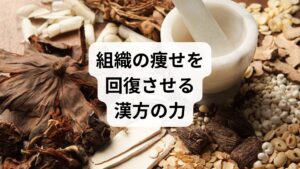 耳管開放症の不快な症状を解消するには、表面的な処置だけでなく、体質改善による内部からのアプローチが不可欠です。この疾患は、急激な体重減少や疲労、ストレスによる血行不良などが原因で耳管周囲の組織が痩せ、閉じなくなることで起こります。そこで、不足したエネルギーを補い、全身の巡りを整える漢方薬が大きな力を発揮します。具体的には、胃腸を元気にし組織を回復させる「補中益気湯（ほちゅうえっきとう）」や、血流を促し栄養を届ける処方が、耳管の働きを正常化させる効果が期待できます。自身の根本原因に合った漢方を選び、内側から自己治癒力を高めることが、再発を防ぐ健やかな体への近道です。
